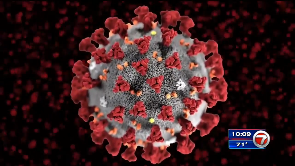 Aparecen más casos de omicron a medida que el mundo se apresura a aprender más – WSVN 7News |  Noticias de Miami, Clima, Deportes