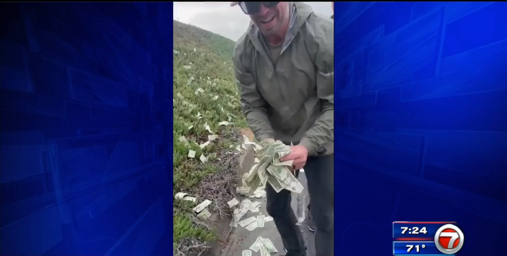 Camión blindado esparce dinero en la autopista de San Diego – WSVN 7News |  Noticias de Miami, Clima, Deportes