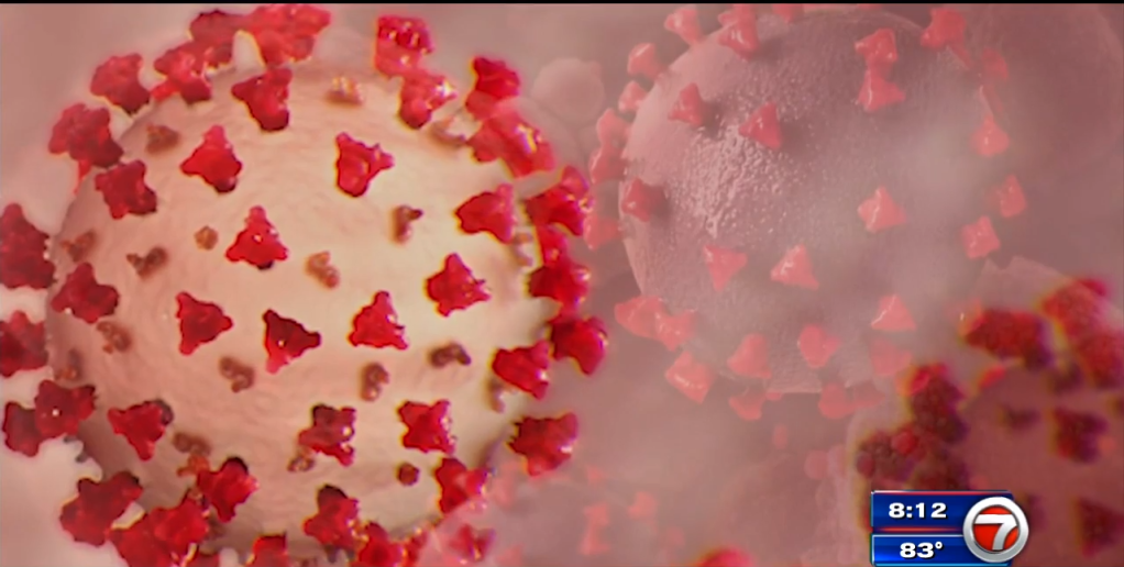 Carreras globales para contener la nueva amenaza COVID, la variante omicron – WSVN 7News |  Noticias de Miami, Clima, Deportes