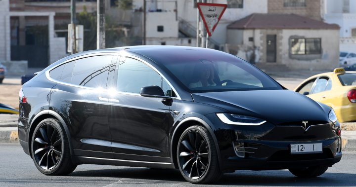 Elon Musk dice que el bloqueo de la aplicación Tesla se solucionó después de que los propietarios informaron errores – National