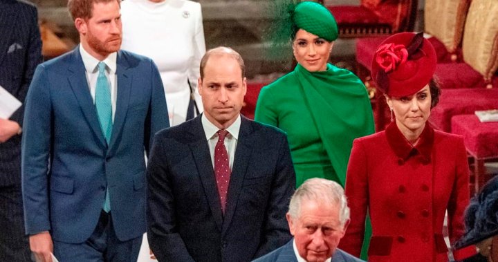 Familia real profundamente insatisfecha con las ‘afirmaciones infundadas’ del nuevo documental – National