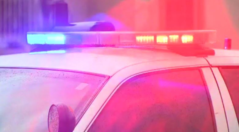 Jefe de Policía: 3 balas en acción en North Carolina Mall – WSVN 7News |  Noticias de Miami, Clima, Deportes