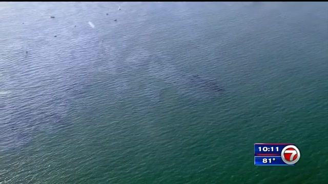 La Guardia Costera investiga informes de explosión de petróleo cerca del área del derrame de petróleo de octubre frente a la costa de California – WSVN 7News |  Noticias de Miami, Clima, Deportes