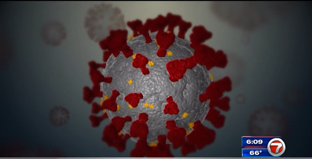 La OMS celebra una reunión especial sobre una nueva variante inquietante de COVID-19 – WSVN 7News |  Noticias de Miami, Clima, Deportes