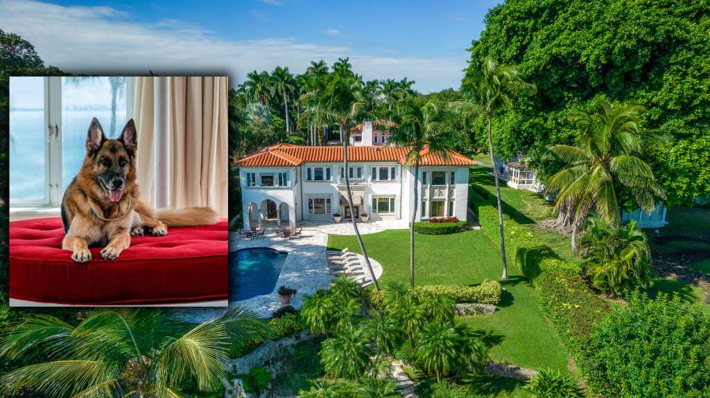 La historia de una mansión de perros ‘vendedora’ es parte de una narrativa de larga data – WSVN 7News |  Noticias de Miami, Clima, Deportes