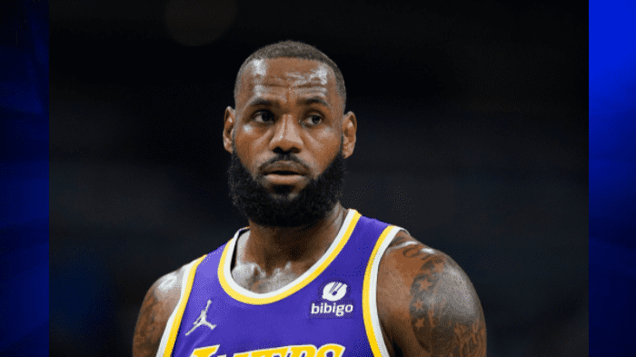LeBron James: El alero de Los Angeles Lakers multado con $ 15,000 por celebrar un «gesto obsceno» – WSVN 7News |  Noticias de Miami, Clima, Deportes
