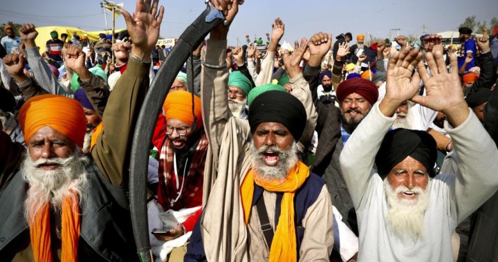 Los agricultores indios citan el apoyo canadiense cuando se derogan las leyes agrícolas, pero las demandas no se cumplen