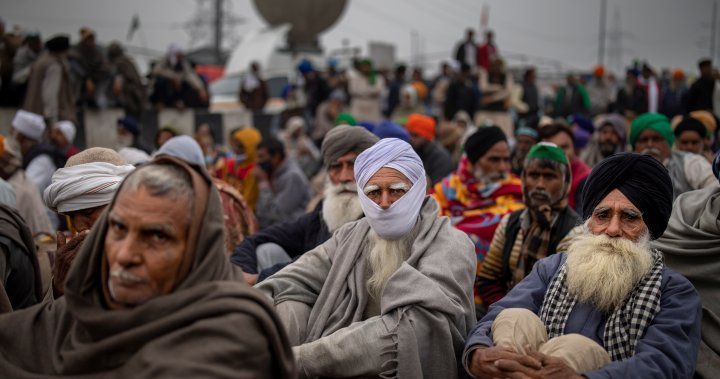 Miembros de la comunidad local responden a la derogación de controvertidas leyes agrícolas en India – Okanagan