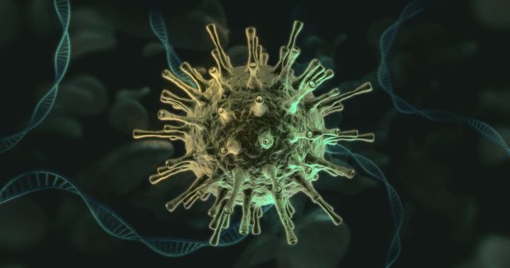 Ontario encuentra los primeros casos en Canadá de la variante Omicron COVID-19.  Esto es lo que sabemos
