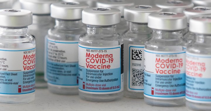 Variante de Omicron: BioNTech y Moderna esperan pronto datos de protección de vacunas – National