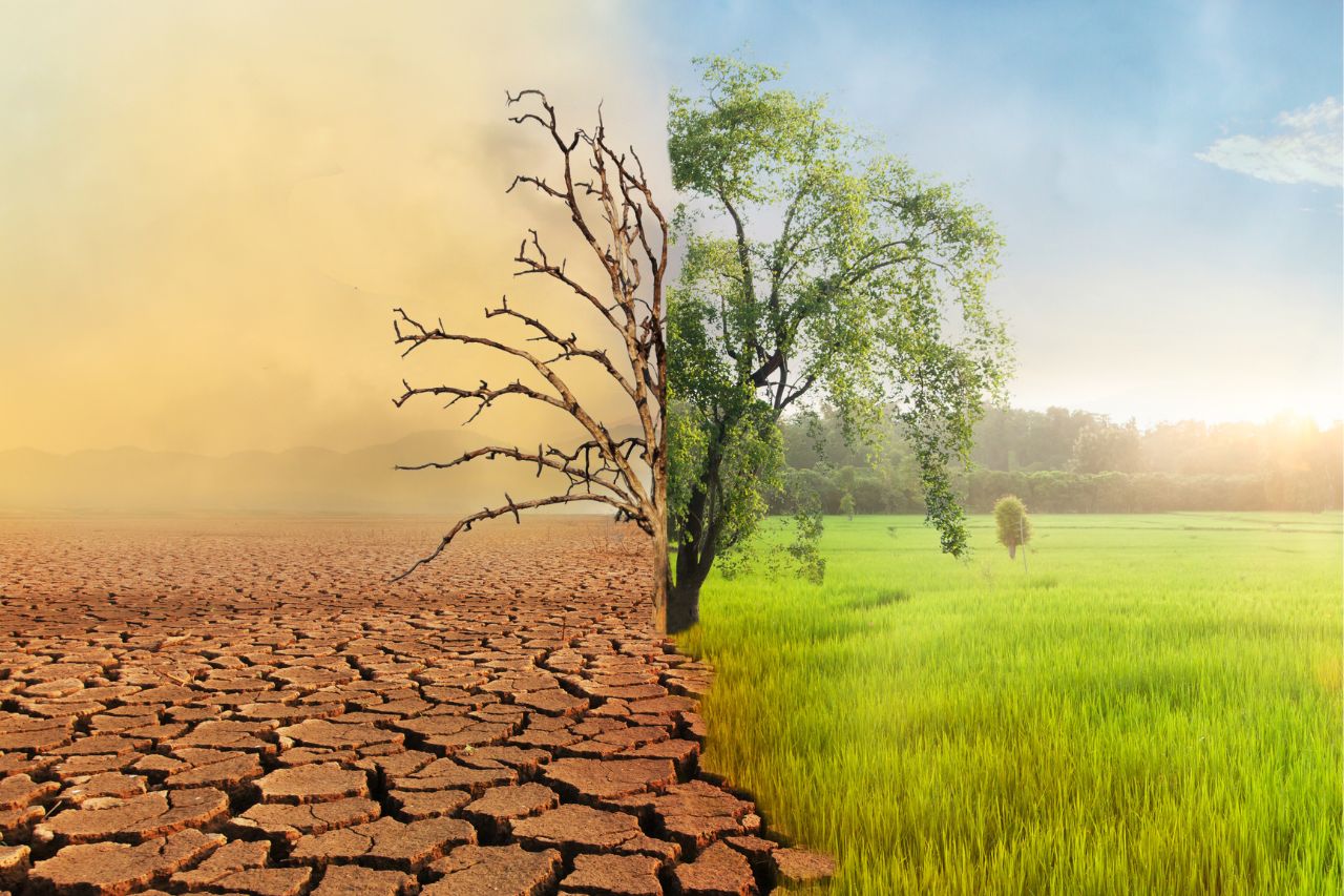 Los efectos del cambio climático en la producción de alimentos en Honduras